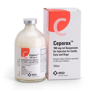 Ceporex 100ml