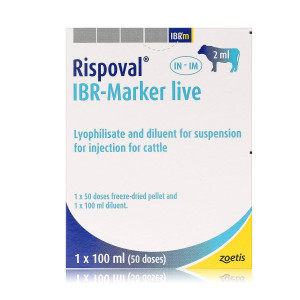 Rispoval IBR Marker Live (100ml)