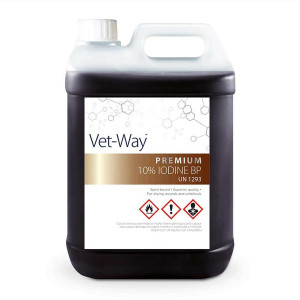 Iodine 10% Solution (2L)