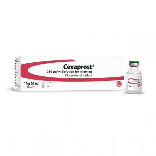 Cevaprost 10 x 20ml