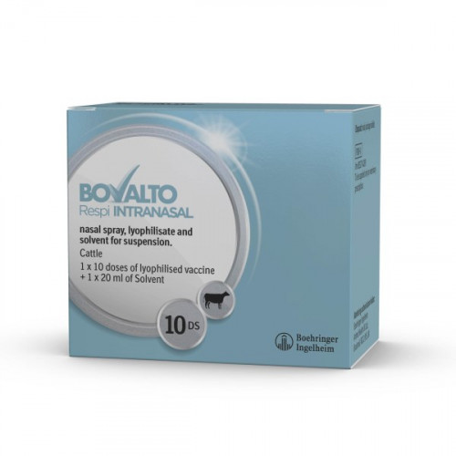 Bovalto Respi Intranasal (10 Dose)