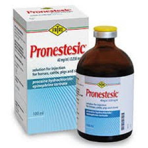 Pronestestic 100ml